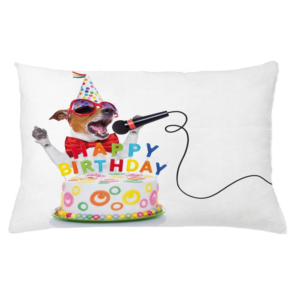 Birthday Party Indoor / Outdoor Lumbar Pillow Cover