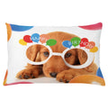 Birthday Party Indoor / Outdoor Lumbar Pillow Cover