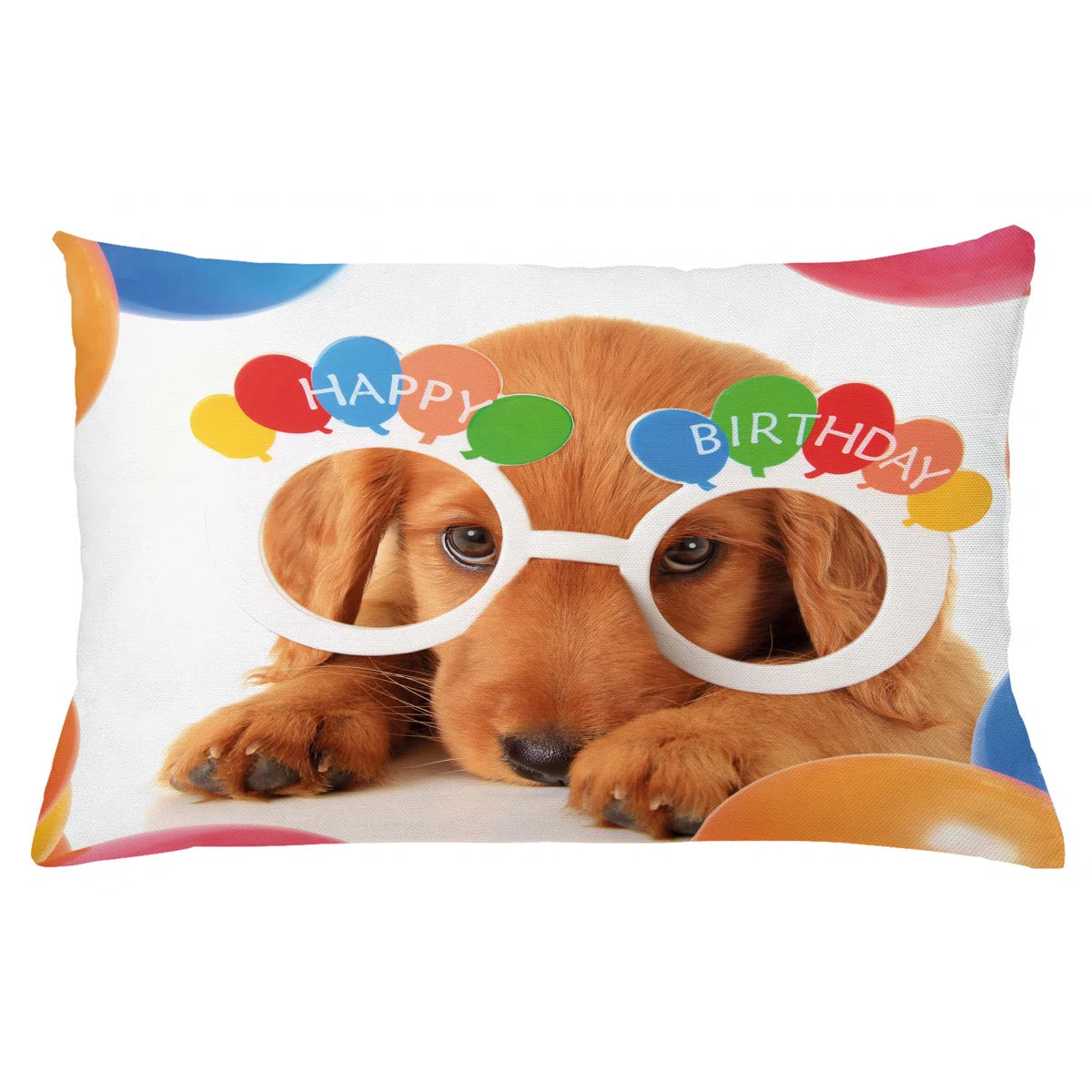 Birthday Party Indoor / Outdoor Lumbar Pillow Cover