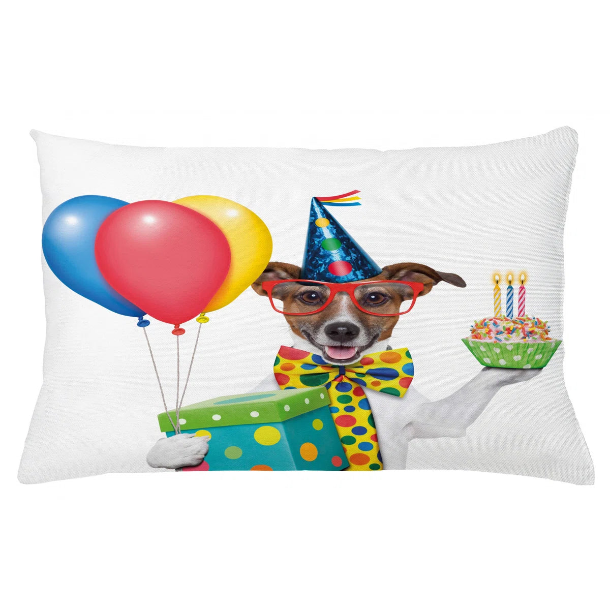 Birthday Party Indoor / Outdoor Lumbar Pillow Cover